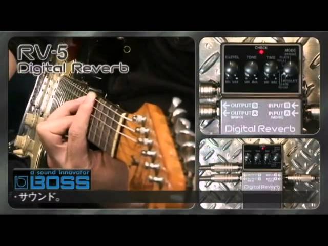 BOSS デジタルリバーブ RV-5 ROWIN LEF-312 フランジャー Amazon