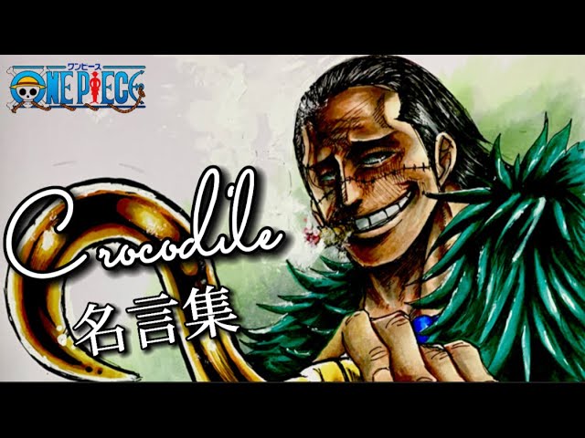 ONE PIECE】クロコダイル好きに送る動画、、ルフィvsクロコダイル