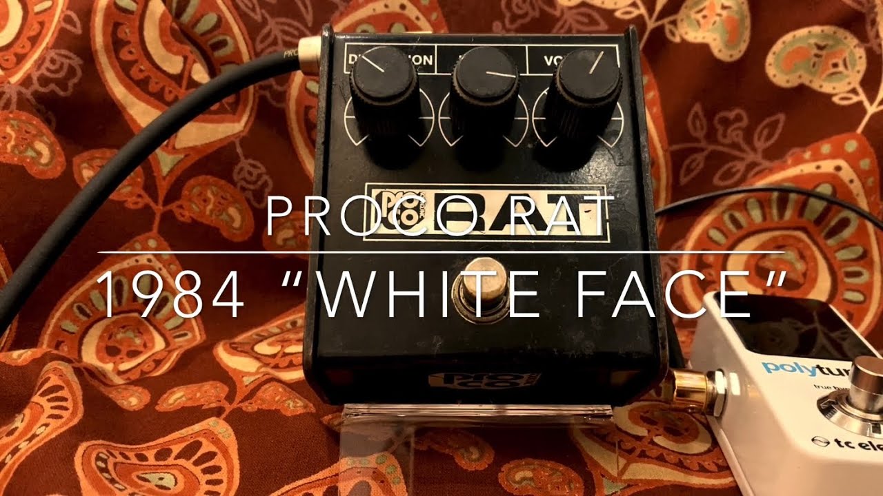 Proco RAT '84 White Face - YouTube