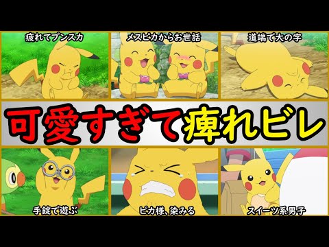 ピカ様倶楽部【サトピカ永久推し】 - YouTube