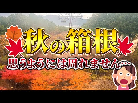 Hakone Tourism 🍁 Autumn leaves season, when you can enjoy the