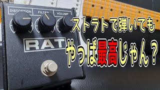 名機降臨！】Proco RAT2 & Vanzandt STV R-1 ～エフェクター試奏