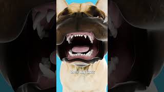 Other/unknown D*A*M Sonic Titan ST-08 - Pedal on ModularGrid