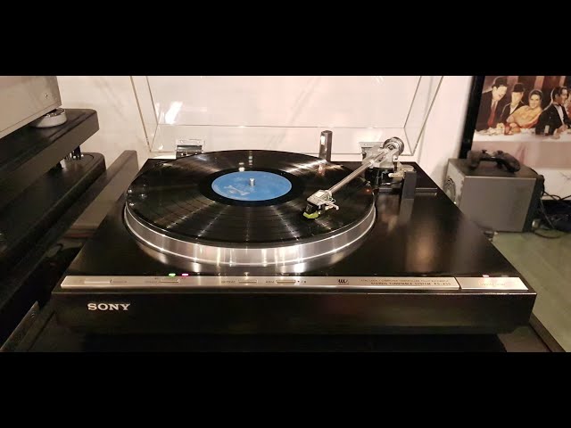Sony PS-X55 - 1980 - Reshaped - Doza Victor Z1 High Quality Phono