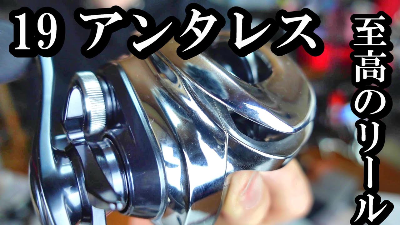 19アンタレス】徹底レビュー 他ではあじわえないものがある！ - YouTube