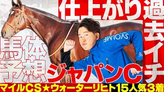 Japan Cup 2025] Mile Championship special horse ☆ Waterlicht