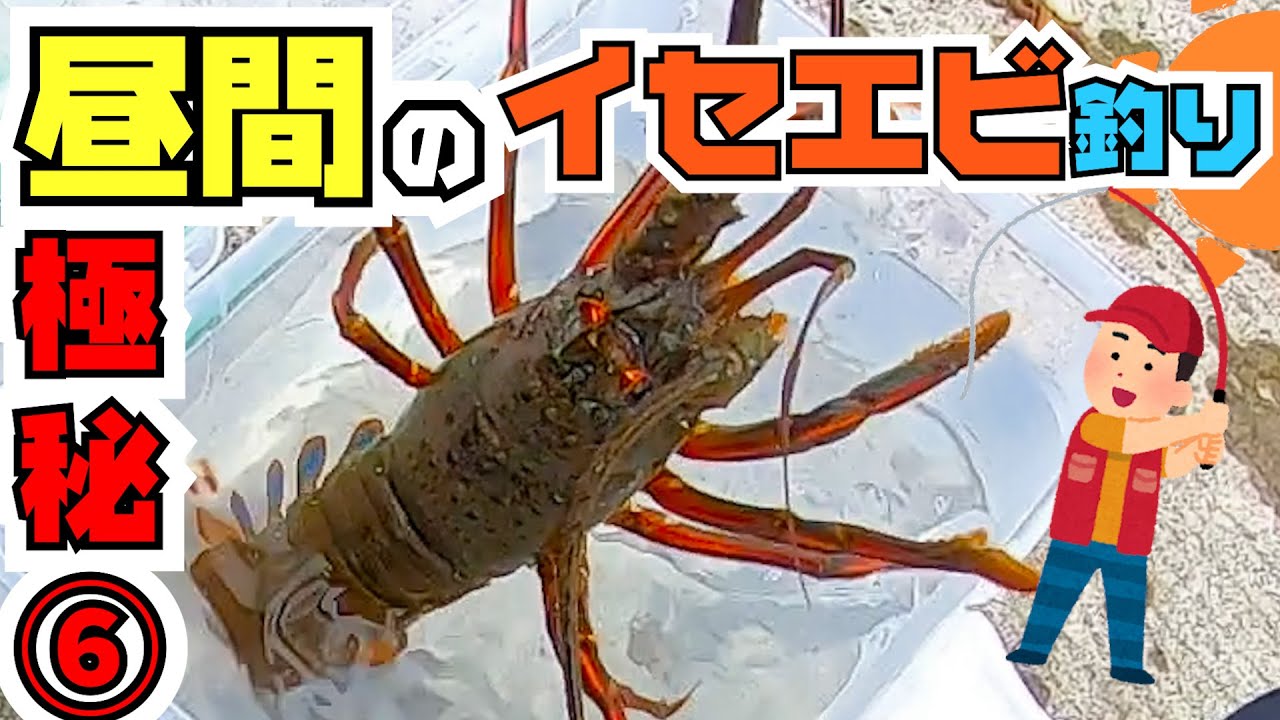 I don't really want to tell you] Easy way to catch spiny lobsters