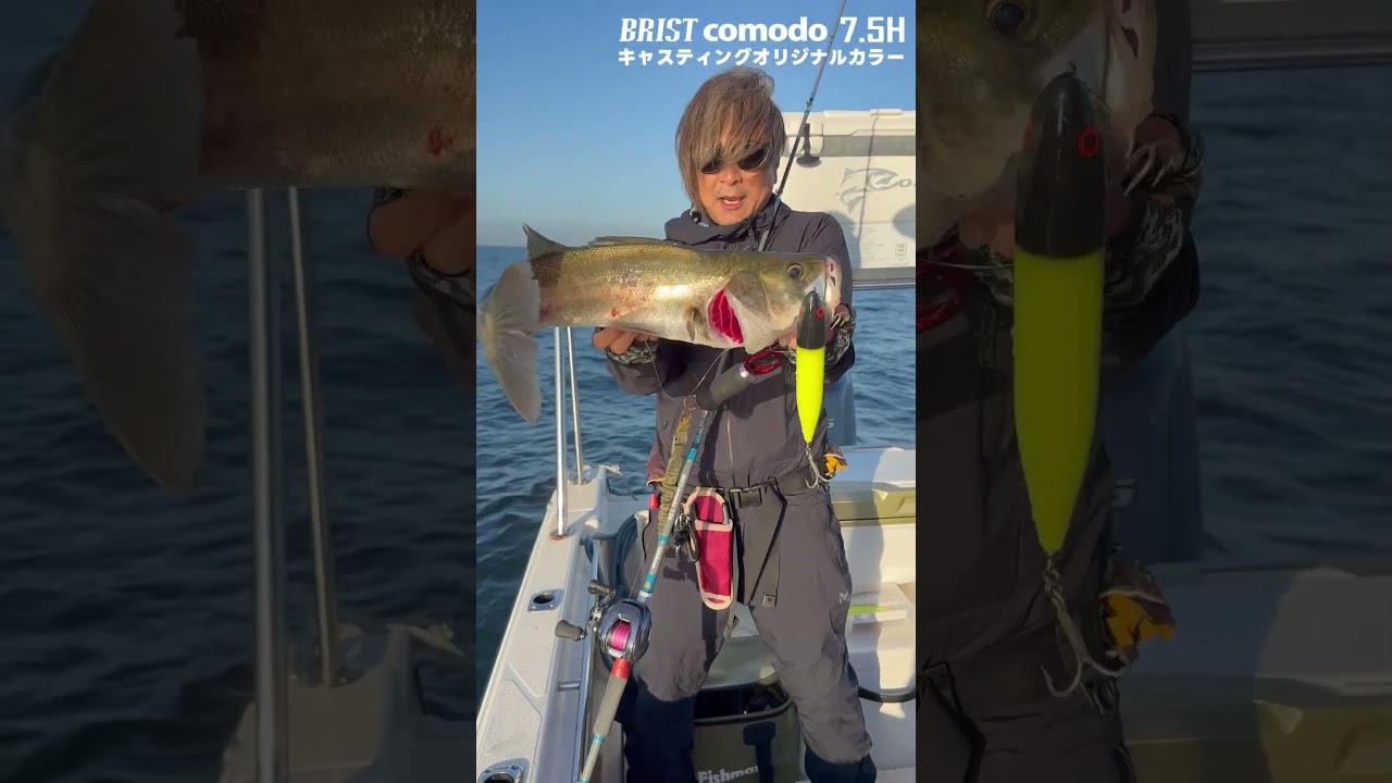 BRIST comodo7.5h（ブリストコモド）| バス、シーバス、アカメ、イトウ