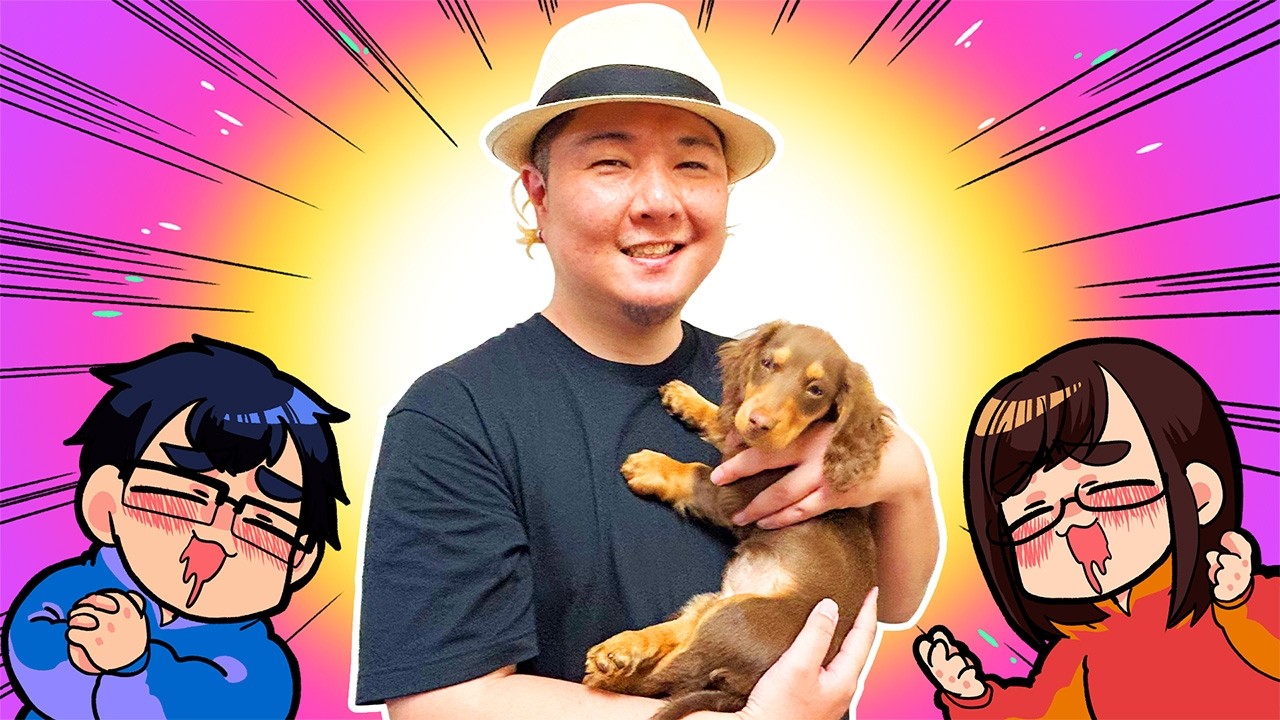 なつめさんちの「トレカ」ができたのでスタッフで遊んでみました