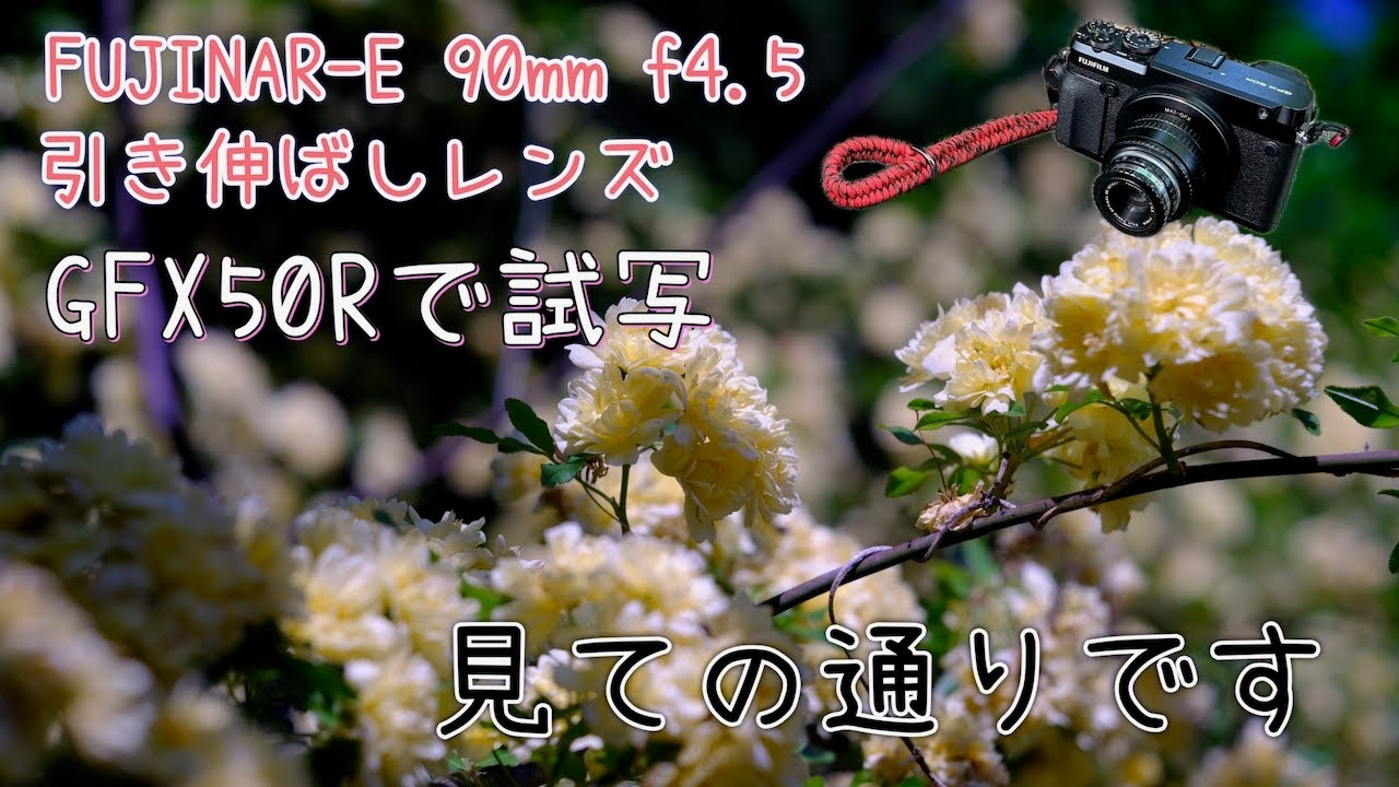 Fujiの引き伸ばしレンズが素晴らしかった【FUJINAR-E 90mm f4.5