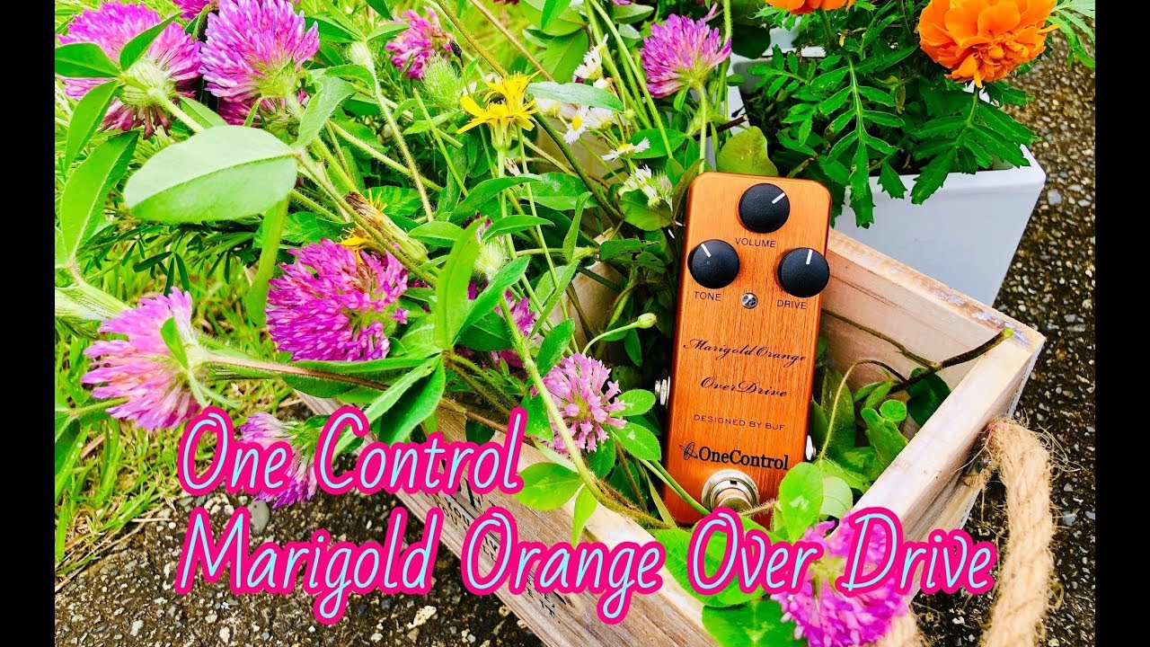One Control Marigold Orange OverDrive 【Play&Review】 - YouTube