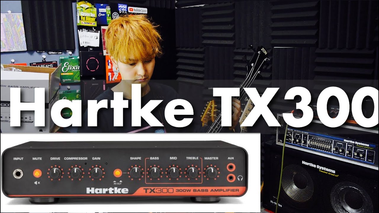 小さのにスゴくHartke！！！hartkeTX300をレビュー - YouTube