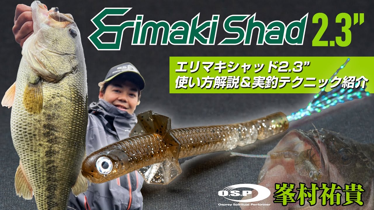 小魚形状のサイコロラバー】開発者“峯村祐貴”が考えるO.S.P「エリマキ