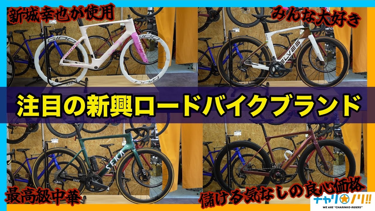 プロバイク紹介│中国のミステリアスなブランド PARDUSパラデュス