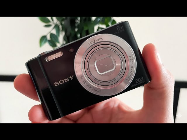 Sony Cyber-shot DSC-W810 - Review camera test + sample images +