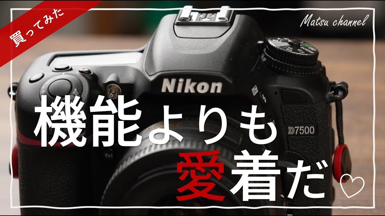 念願のNikon】D7500を買ってみた！ 地味だけど最高の趣味カメラだ