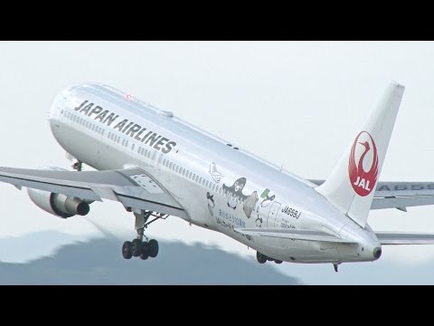 4K] [伊丹空港] 特別塗装機 