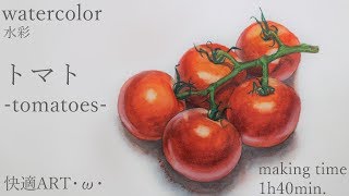 watercolor】-tomatoes-・ω・トマト【水彩】 - YouTube