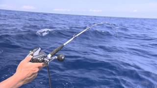 いつでも釣り気分！】#179 既成概念を打ち破れ！広がるライトゲームの