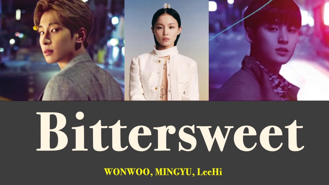 日本語字幕＋カナルビ＋歌詞》Bittersweet ウォヌ ミンギュ feat