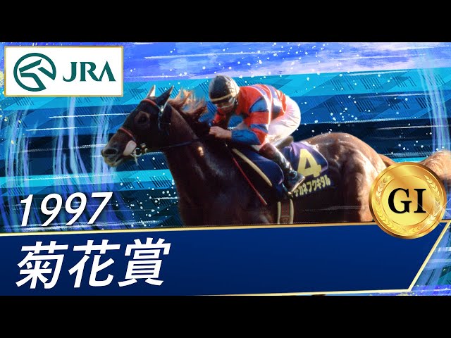 1997 Kikuka Sho (GⅠ) | Machikane Fukukitaru | JRA Official - YouTube