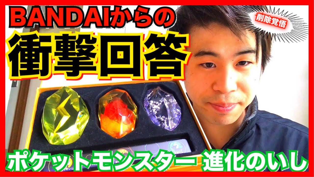 まさかすぎる回答に…】ポケットモンスター 進化のいし プレミアム