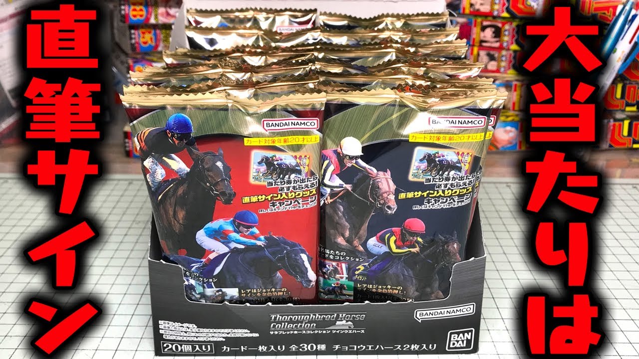 当たり券が出たら騎手の直筆サインがもらえる奇跡！ サラブレッド