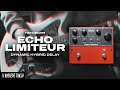 Fish Circuits - Echo Limiteur Dynamic Hybrid Delay - YouTube