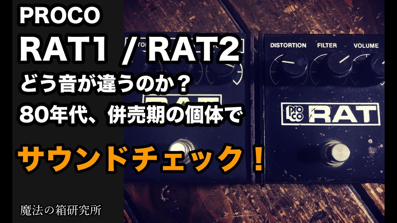 PROCO RATをレビュー！年代別の見分け方とサウンドを比較してみた