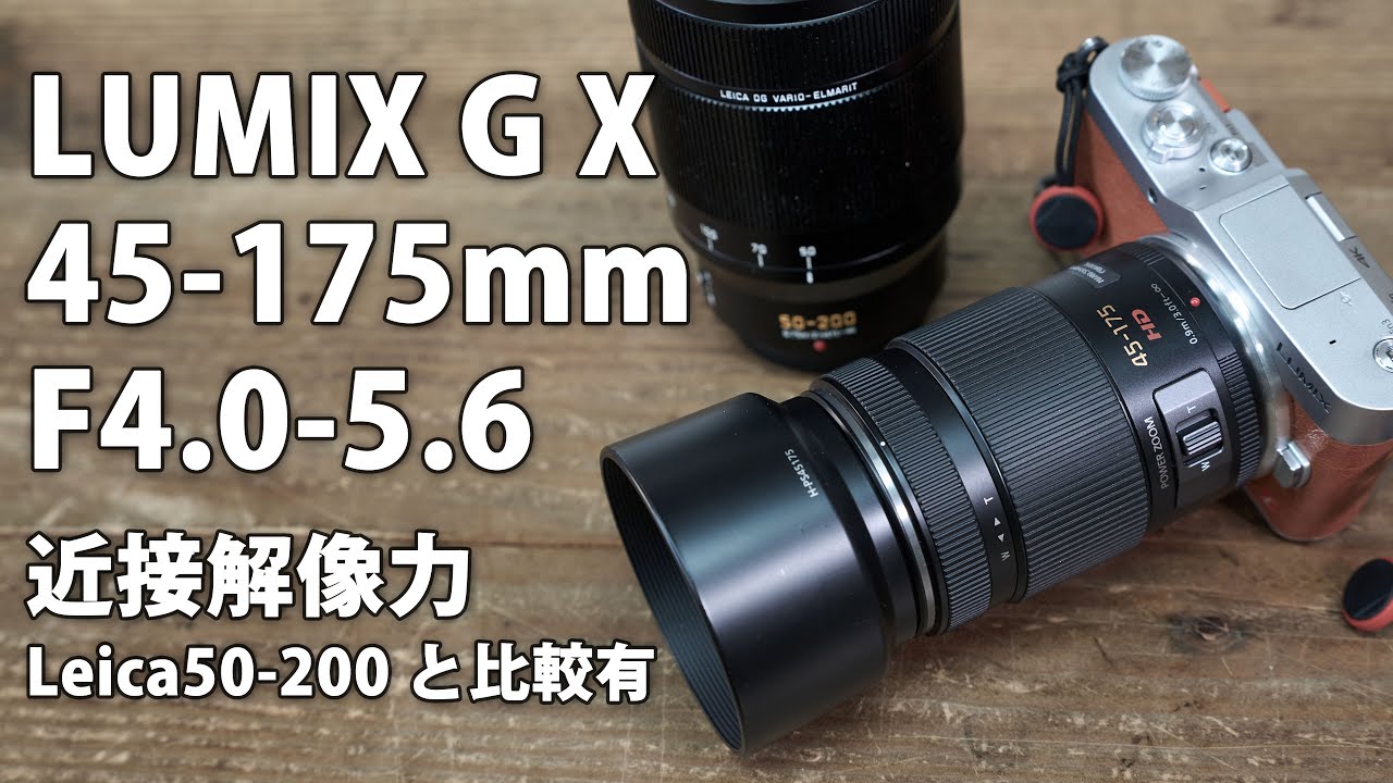 LUMIX G X VARIO PZ 45-175mm F4.0-5.6 ASPH. Review Part 2. Close-up