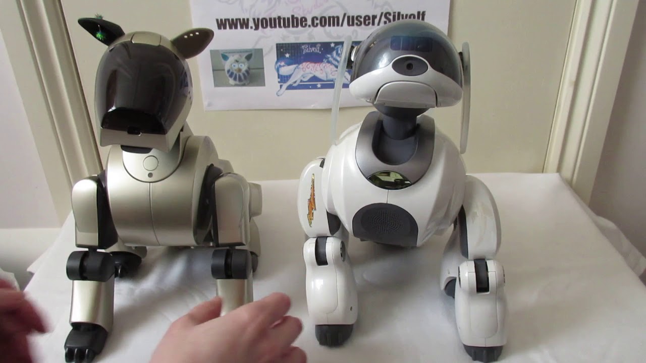 Sony Aibo ERS-210 and ERS-7M3 Visual Comparison - YouTube