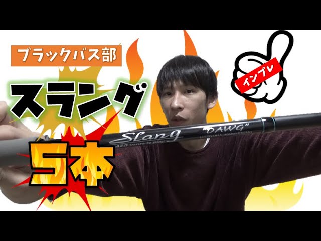 特選デジーノロッド5選！ビッグベイトロッド買う前にこれを見て