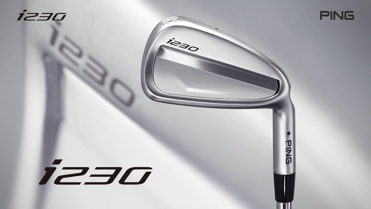 セール・アウトレット】i230 アイアン(単品) N.S.PRO 750／850／950GH
