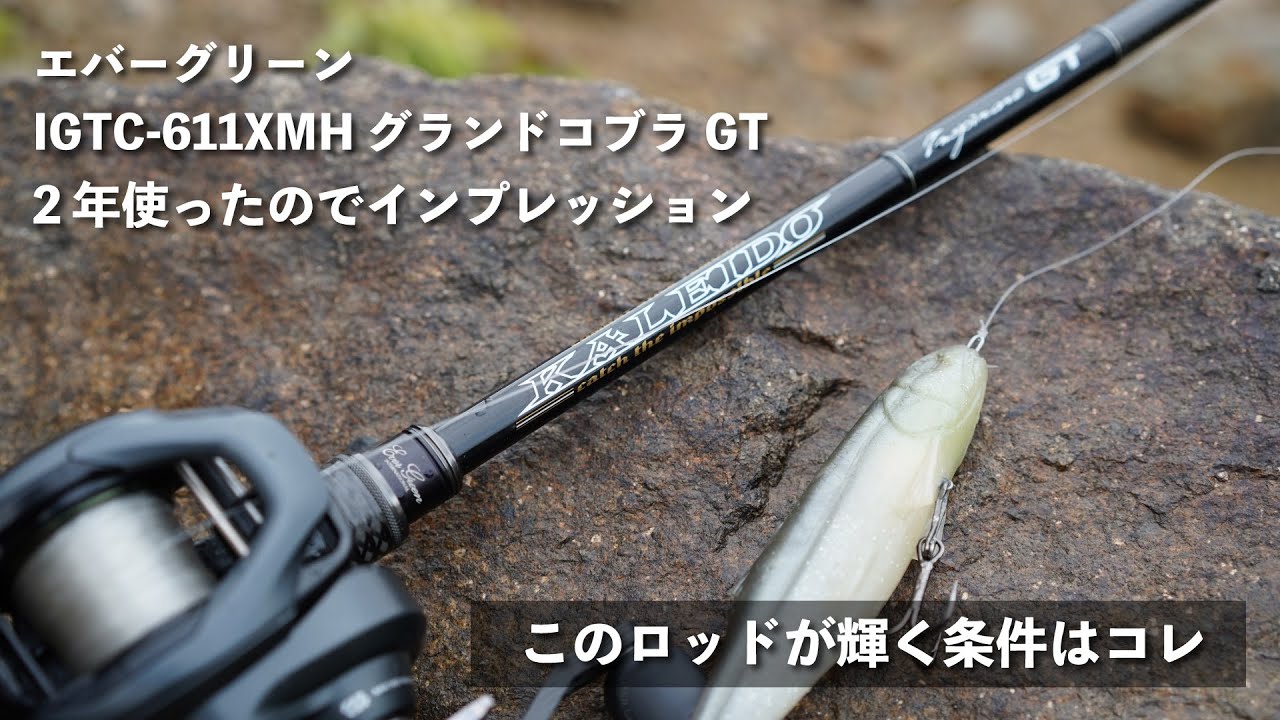 グランドコブラ】2年間使い込んだ男のインプレ【エバーグリーン