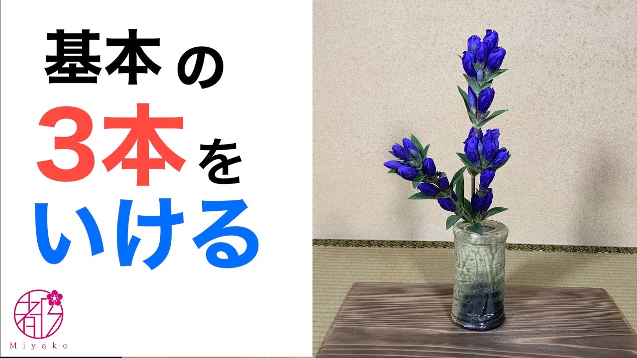 基本の3本(名称、順番、位置)🌸華道基本の「き」🌟華道では花の呼び名