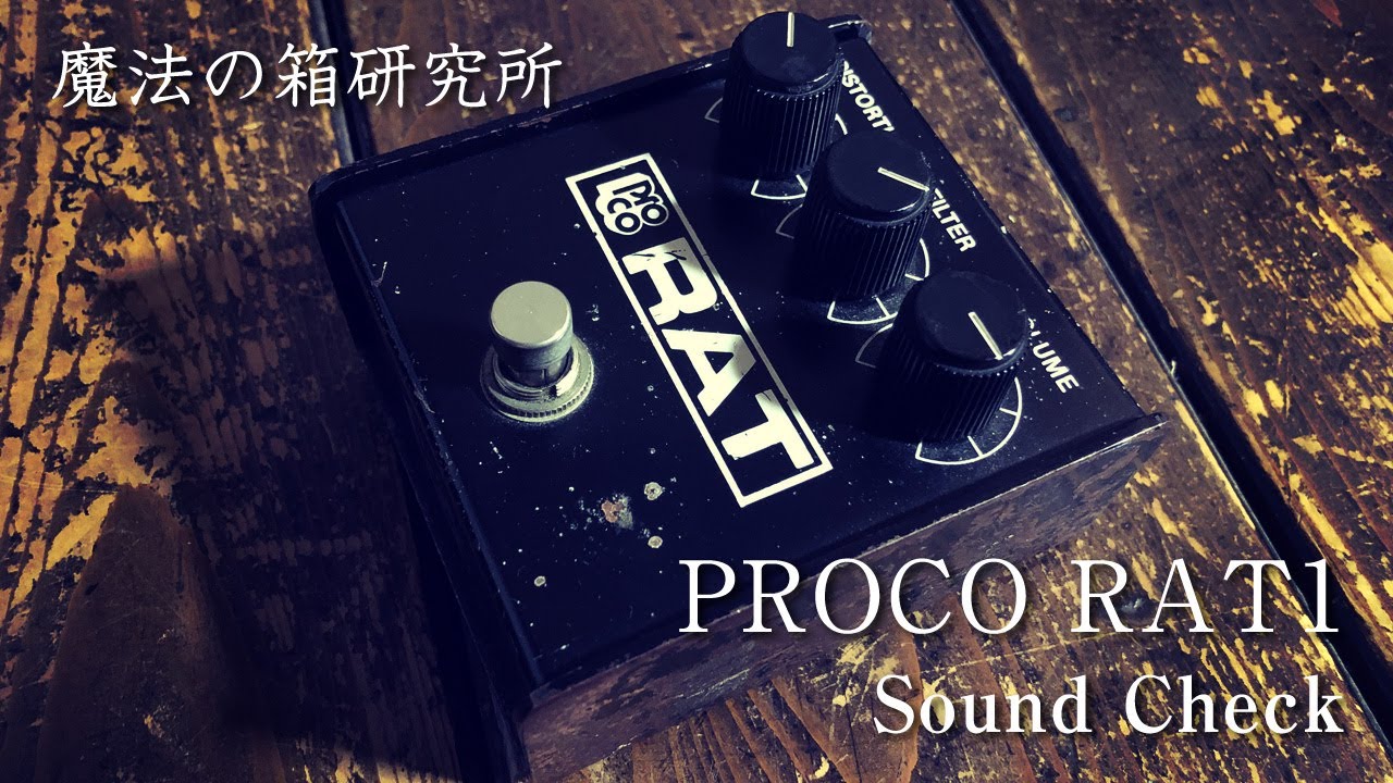 PROCO RAT1 1988年製 Sound Review【魔法の箱研究所】 - YouTube