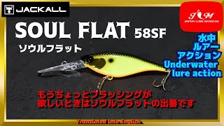 水中動画】【SOUL FLAT】あのソウルシャッドがフラットサイドになって