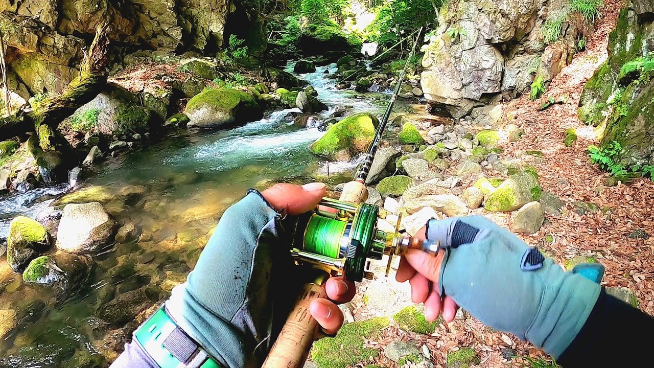 渓流釣り】本流＆支流で大爆釣！と妊娠ニジマス…笑 #2500c #渓流ルアー