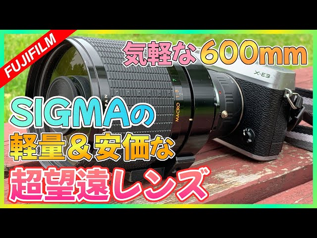 SIGMA】軽量安価な超望遠レンズ！600mmを気軽に手元に | SIGMA MIRROR