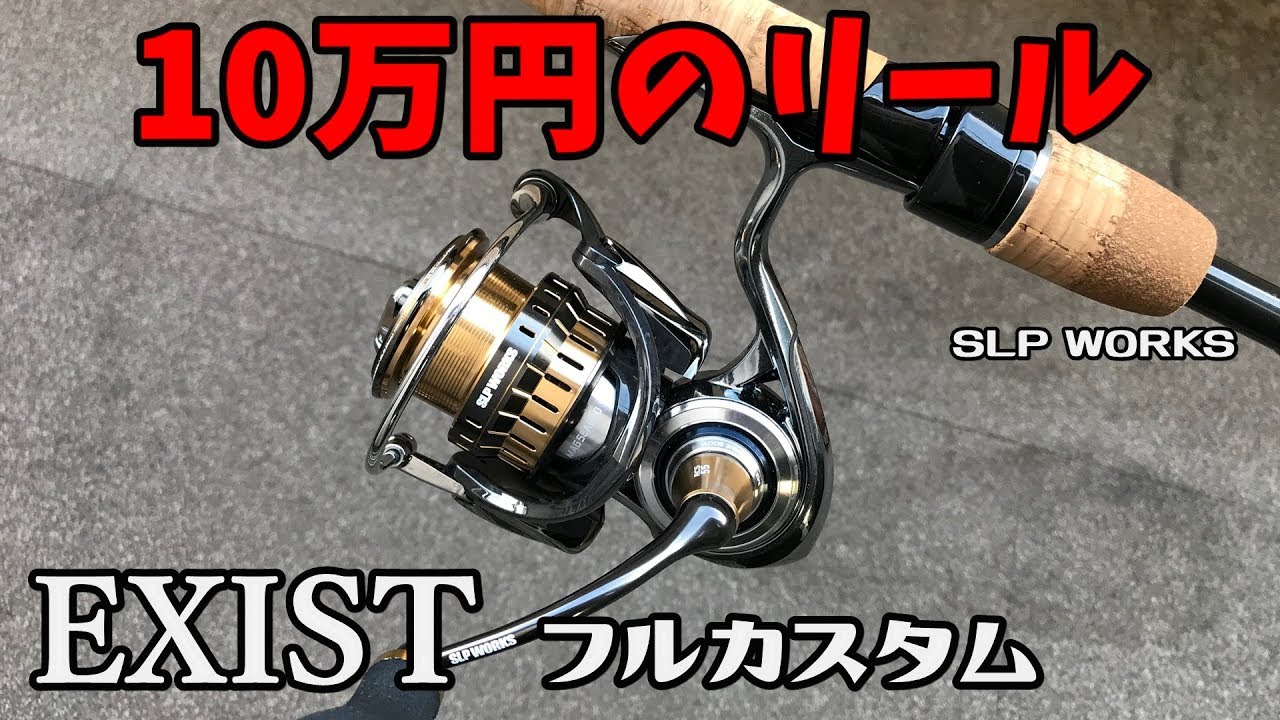 総額10万円！SLP WORKSでフルカスタムした18イグジストがこれです