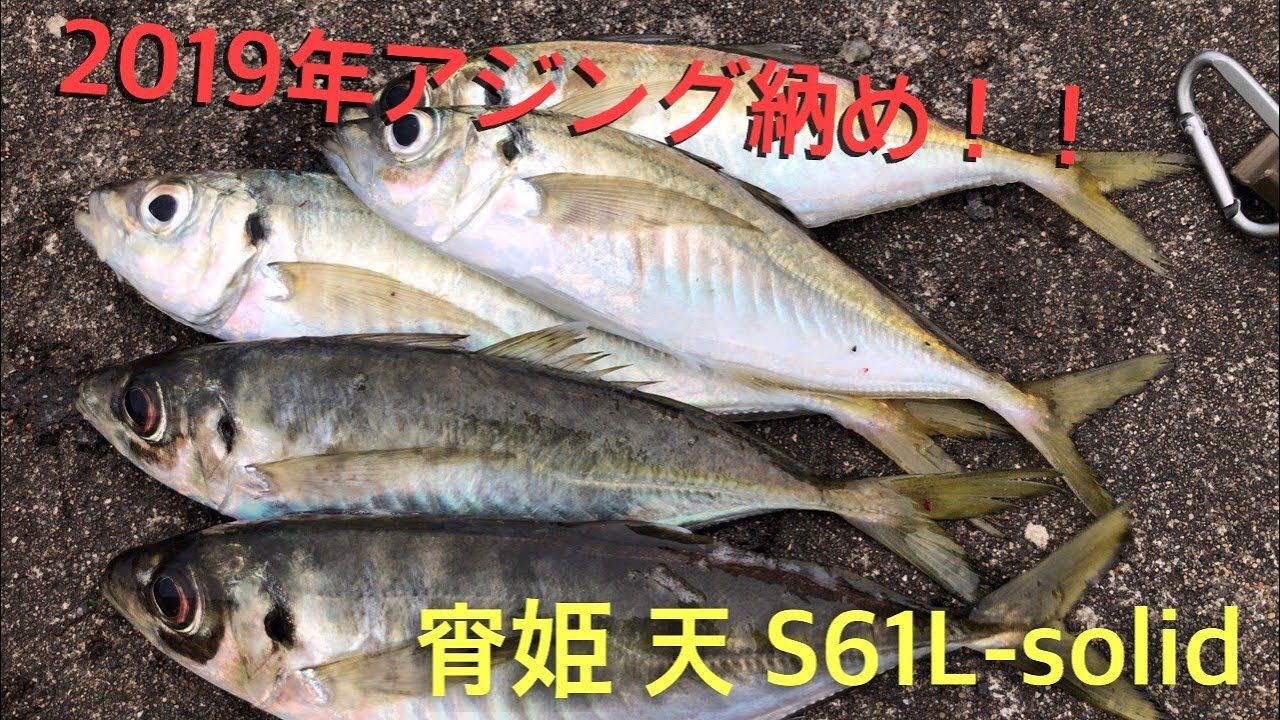 ポッチったのが届きました♪【宵姫 天 S61L-solid】