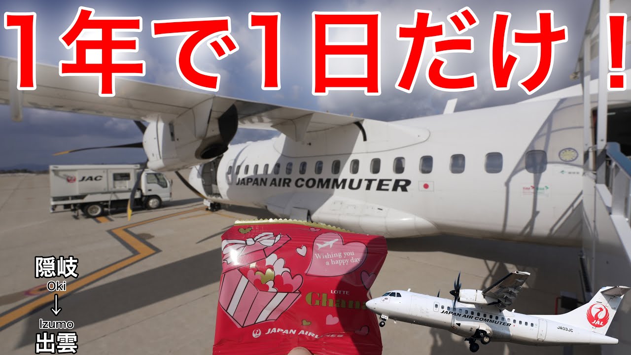 All passengers who fly on Japan Airlines Group domestic flights on
