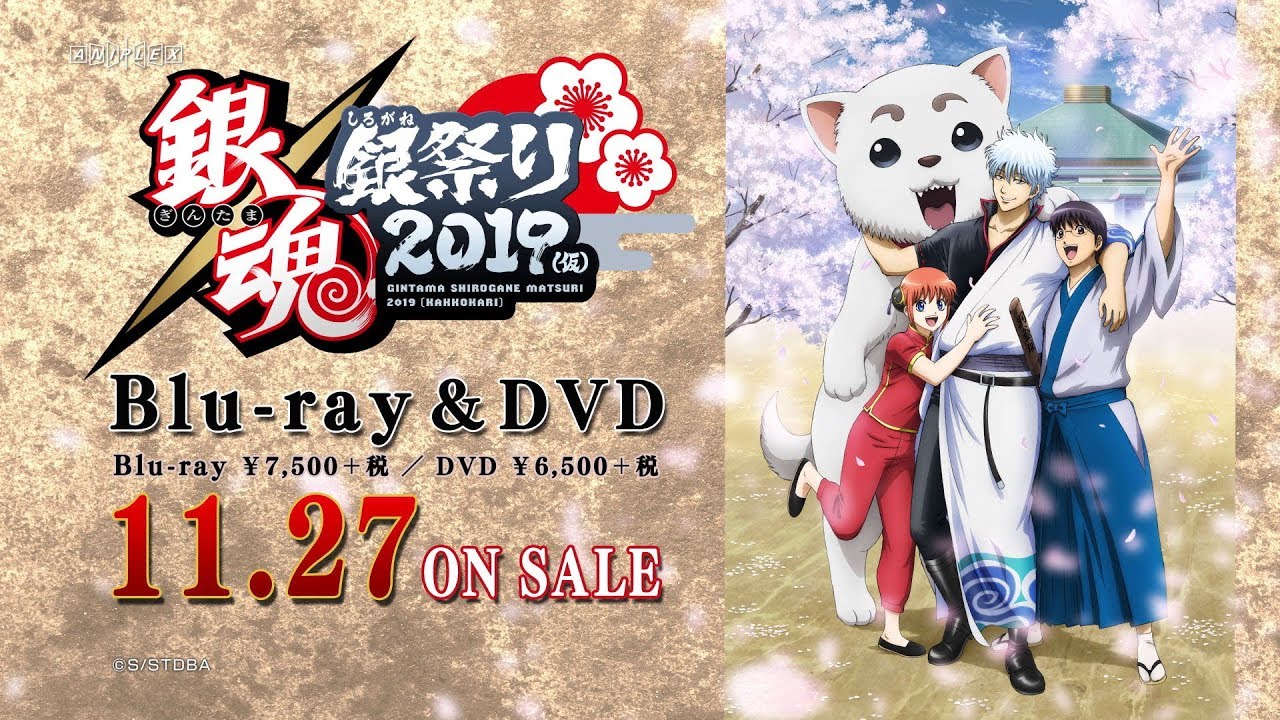 銀魂 銀祭り2019 初回仕様限定 DVD 購入 銀魂 銀祭り2019(仮)(初回