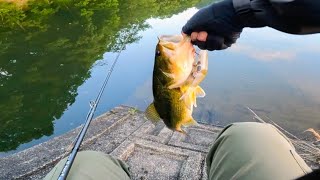 BUTZ / SNATCH 140R | IchibanTackle.com