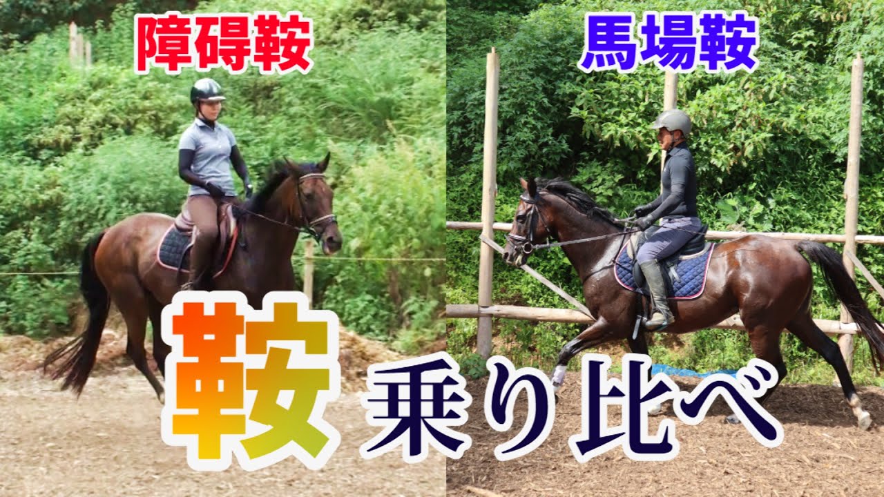 鞍乗り比べ！馬場鞍/障碍鞍6個乗ってみた - YouTube