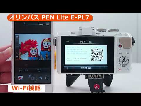オリンパス PEN Lite E-PL7 EZ ダブルズームキット ホワイト | ミラー