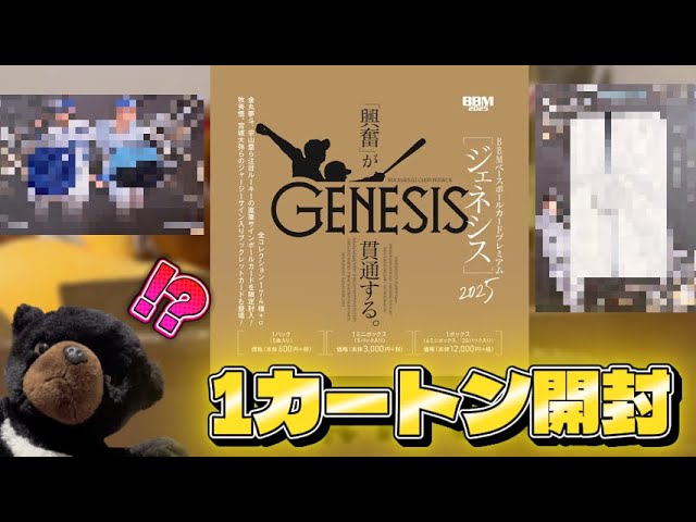 1カートン12ボックス開封】BBM 2024 FUSION ベースボールカード