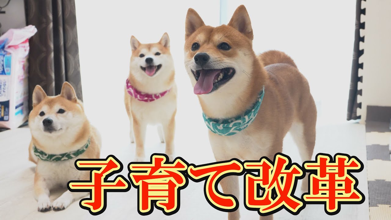 When we introduced the new childcare system, the children were