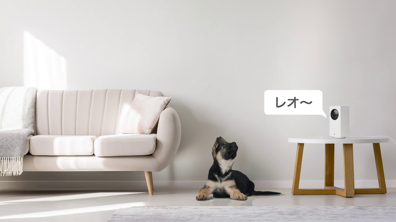 BESTCAM (ベストカム) みてるちゃん｜ 家庭用防犯カメラ WTW-IPW108J2