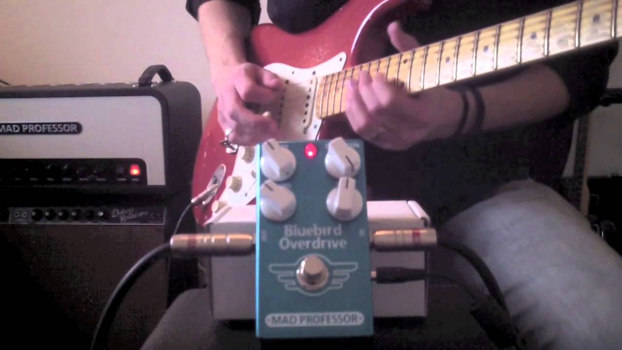 Mad Professor Bluebird Overdrive Delay rock tones by Marko Karhu
